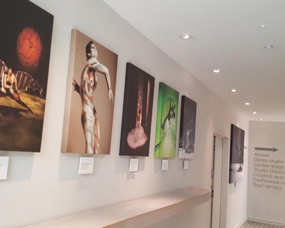 Canvas Prints of Exhibition of Artists for The Point at Eastleigh