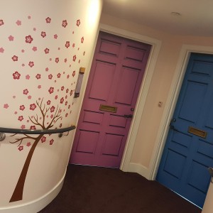 New care home wall and door coverings for Hampshire County Council car home